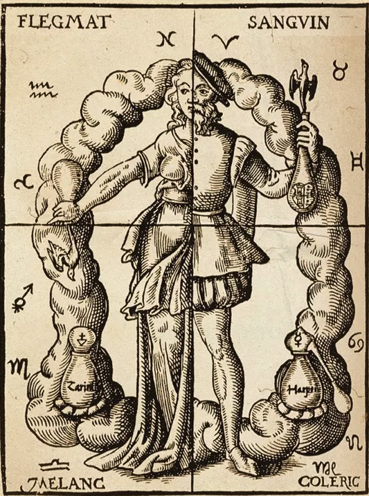 diagram of the four humours
