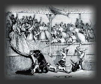 Bear-baiting