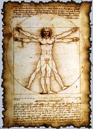 Vitruvian Man by da Vinci