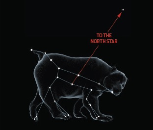 Ursa Major, showing how Deube and Merak point to the North Star